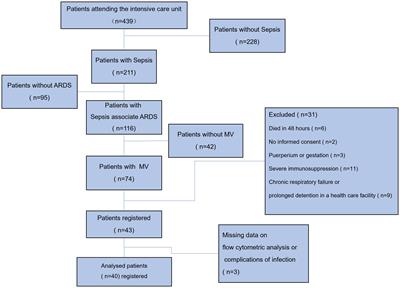 New findings on CD16brightCD62Ldim neutrophil subtypes in sepsis-associated ARDS: an observational clinical study